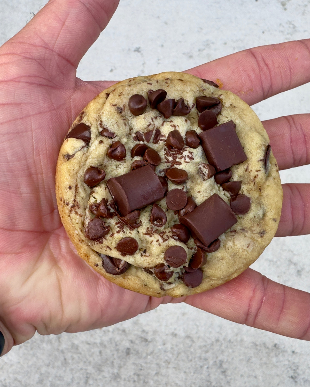 Mini Signature Chocolate Chip (2 oz Gourmet Cookie)